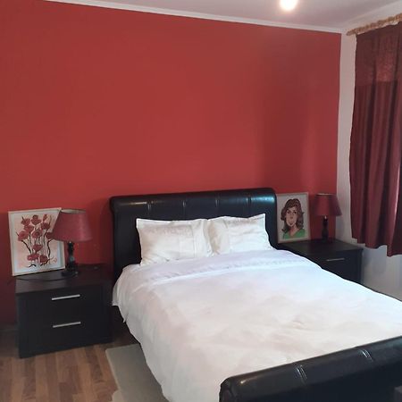 Apartament Cu 3 Camere La Poala Muntilor Fagaras ビクトリア エクステリア 写真