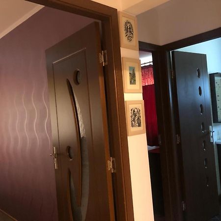 Apartament Cu 3 Camere La Poala Muntilor Fagaras ビクトリア エクステリア 写真