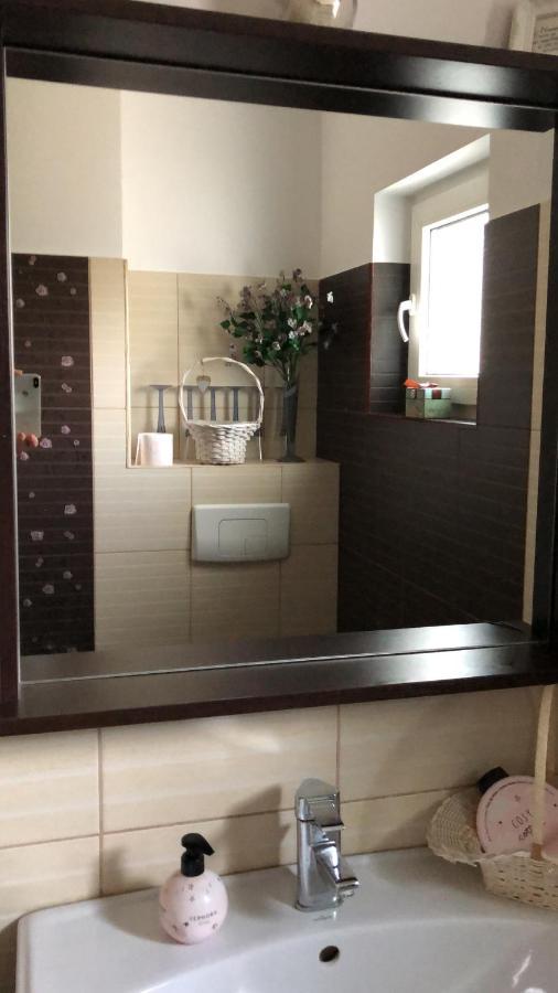 Apartament Cu 3 Camere La Poala Muntilor Fagaras ビクトリア エクステリア 写真