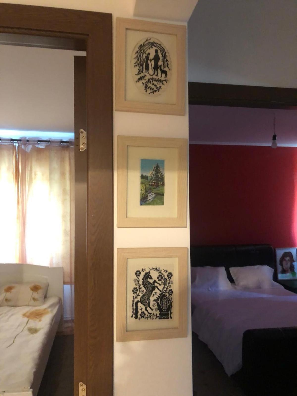 Apartament Cu 3 Camere La Poala Muntilor Fagaras ビクトリア エクステリア 写真