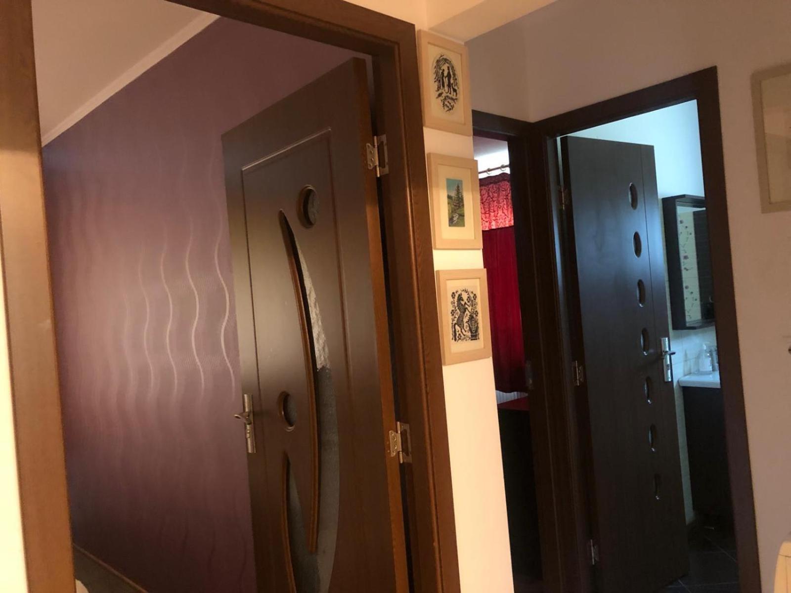 Apartament Cu 3 Camere La Poala Muntilor Fagaras ビクトリア エクステリア 写真