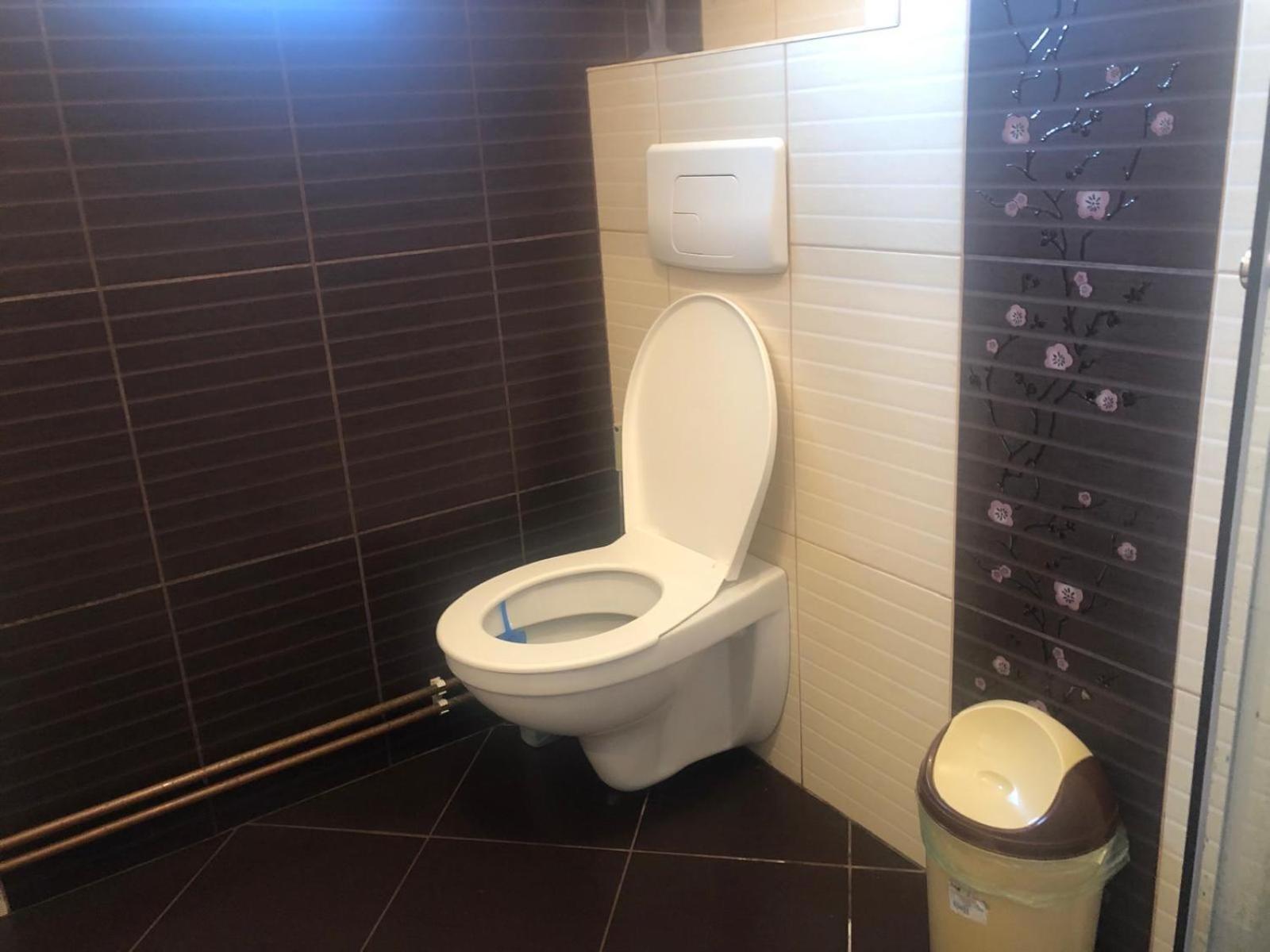 Apartament Cu 3 Camere La Poala Muntilor Fagaras ビクトリア エクステリア 写真