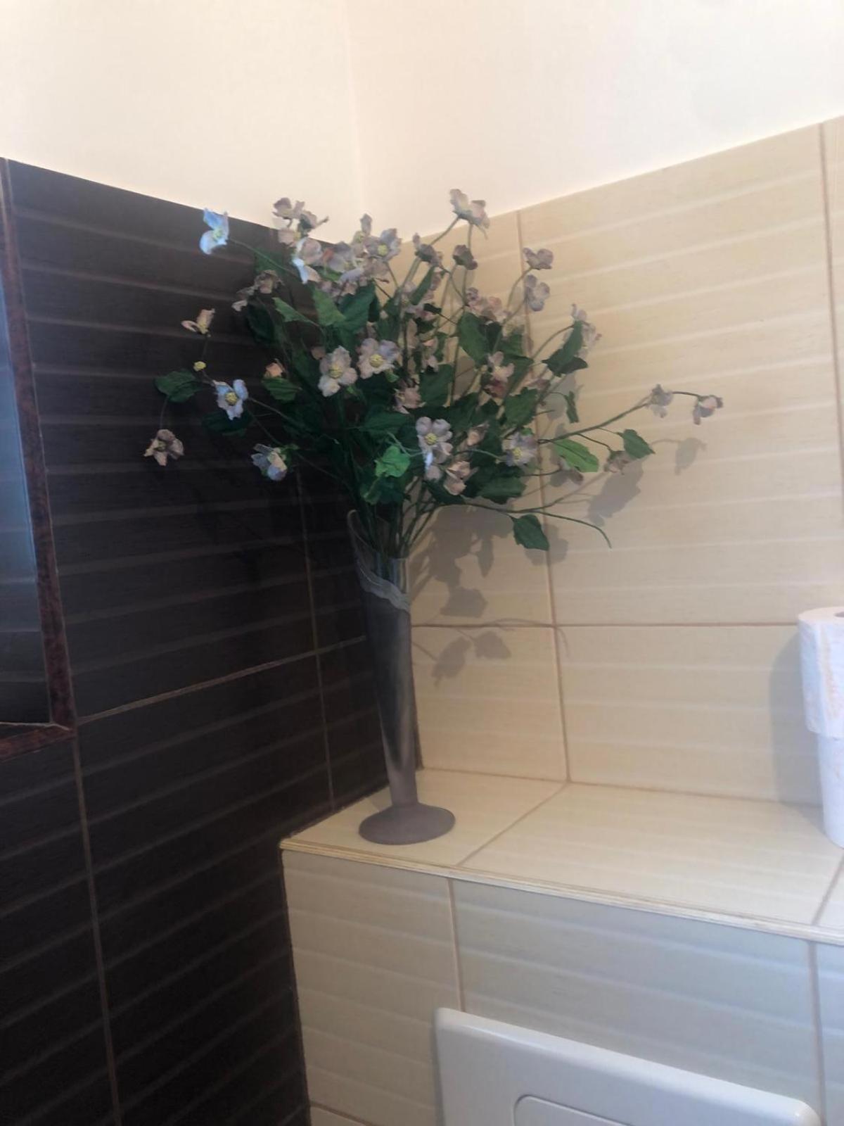 Apartament Cu 3 Camere La Poala Muntilor Fagaras ビクトリア エクステリア 写真