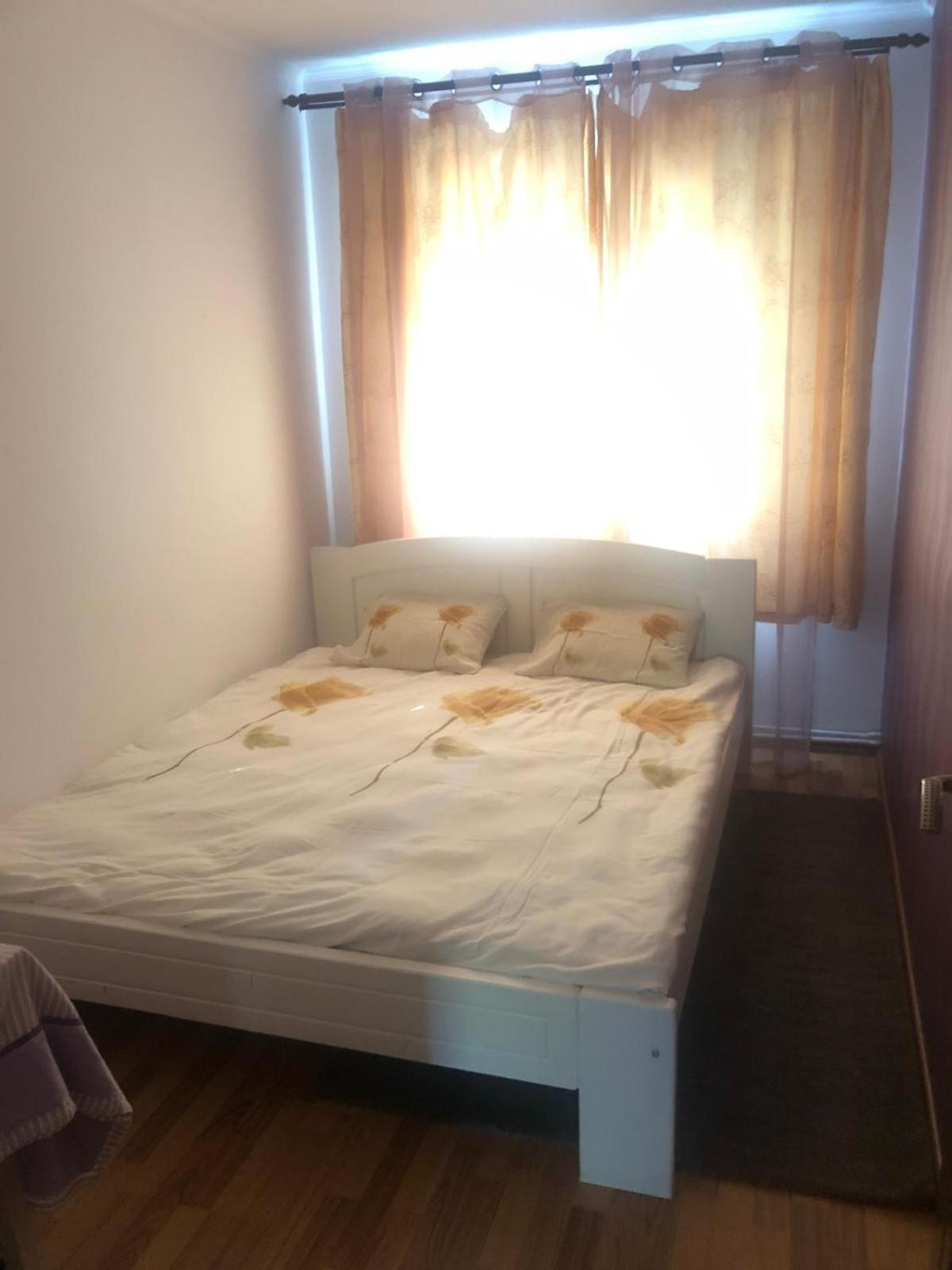 Apartament Cu 3 Camere La Poala Muntilor Fagaras ビクトリア エクステリア 写真